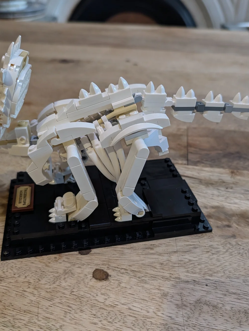 🦴 LEGO Set 21320 — Dinosaur Fossils - Complete